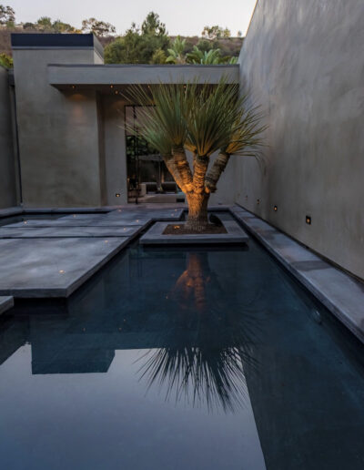 A single palm tree stands in an opening amidst a modern outdoor water feature by a home at dusk.