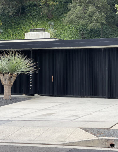 A modern black facade with vertical lines, a concrete driveway, and a large potted plant outside.